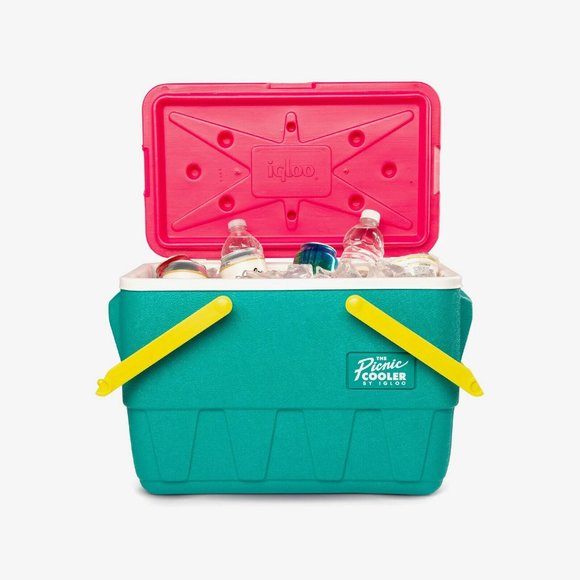 Igloo Other - Igloo Picnic Cooler